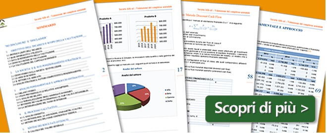 programma per business plan